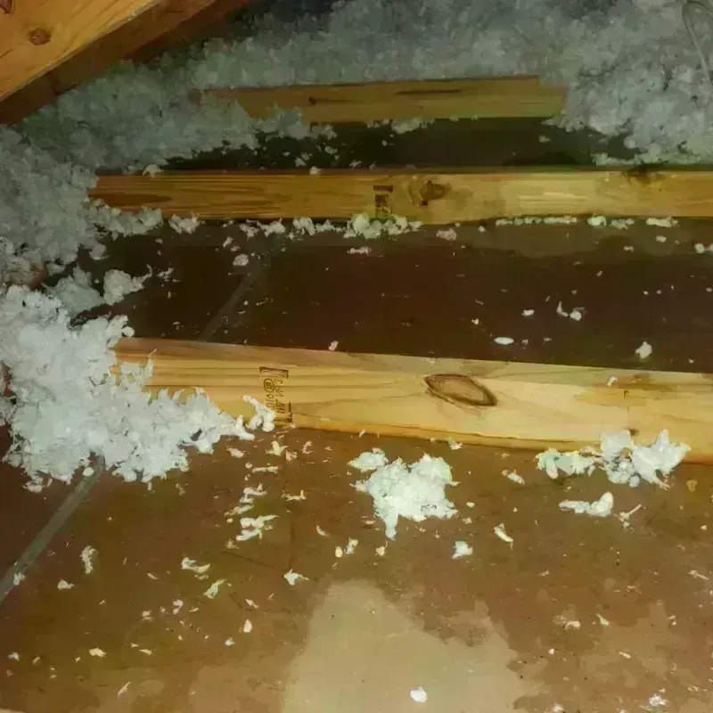 Attic Water Damage in Greenfield, CA