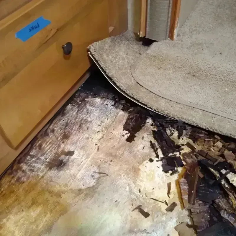 Wood Floor Water Damage in Greenfield, CA